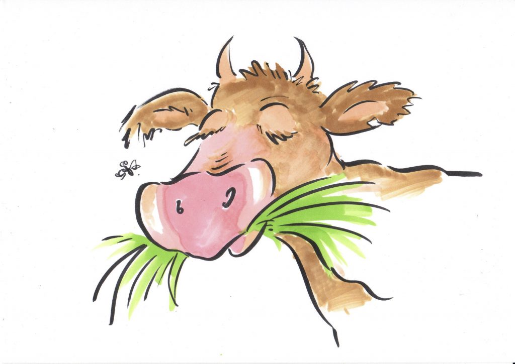 neues video: Kuh beim Fressen